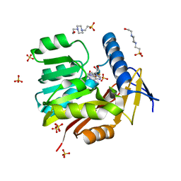 BU of 5ufn by Molmil