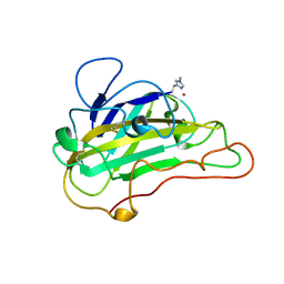 BU of 5ufv by Molmil