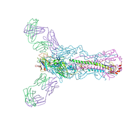 BU of 5ug0 by Molmil