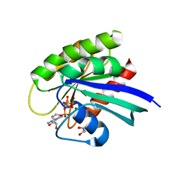 BU of 5uhv by Molmil