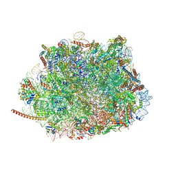 BU of 5umd by Molmil