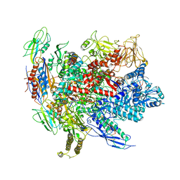 AU of 5upc by Molmil