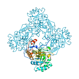 BU of 5upv by Molmil