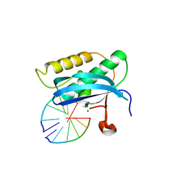 BU of 5use by Molmil