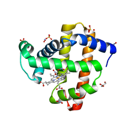 BU of 5ut9 by Molmil