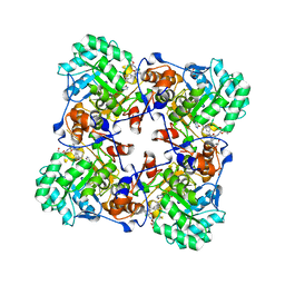 AU of 5uuw by Molmil