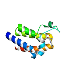 BU of 5uvs by Molmil