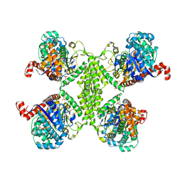 BU of 5uw1 by Molmil