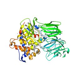 BU of 5uw6 by Molmil