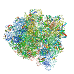 BU of 5uyl by Molmil