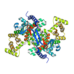 BU of 5uzp by Molmil