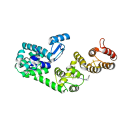 BU of 5v83 by Molmil