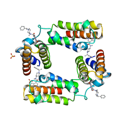 BU of 5v84 by Molmil