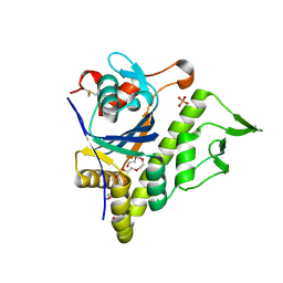 BU of 5v8c by Molmil