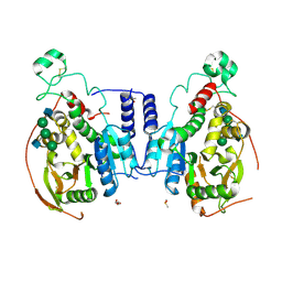 BU of 5vcs by Molmil