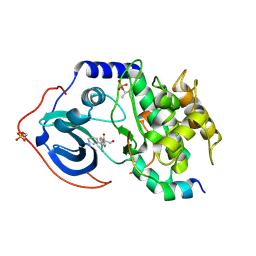 BU of 5vhb by Molmil