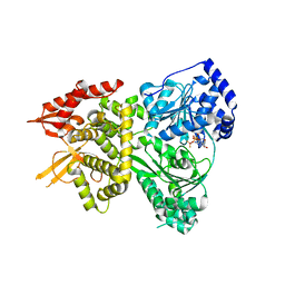 BU of 5vhc by Molmil