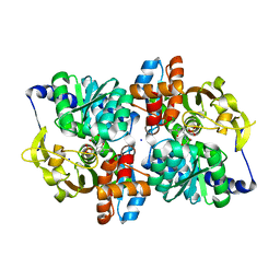 BU of 5vm5 by Molmil