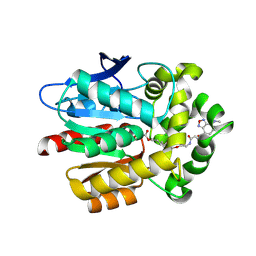 BU of 5vnp by Molmil