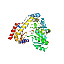 BU of 5vnx by Molmil