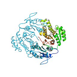 BU of 5vp5 by Molmil