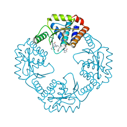 BU of 5vp8 by Molmil