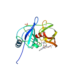 BU of 5vp9 by Molmil