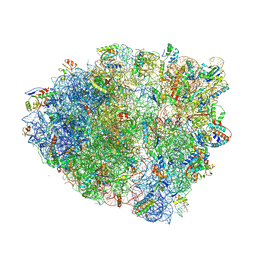 BU of 5vpp by Molmil