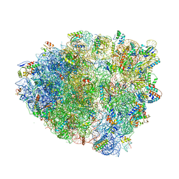 BU of 5vpp by Molmil