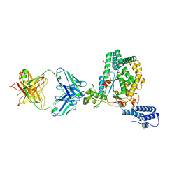 BU of 5vqm by Molmil