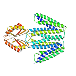 BU of 5vrf by Molmil