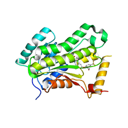 BU of 5vrl by Molmil