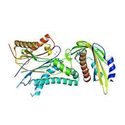 BU of 5vsr by Molmil