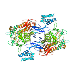 BU of 5vt4 by Molmil