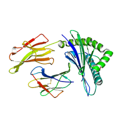 BU of 5vue by Molmil