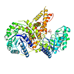 BU of 5vvt by Molmil