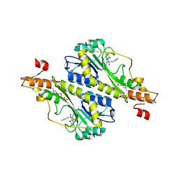 BU of 5vyt by Molmil