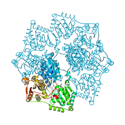 BU of 5wj1 by Molmil