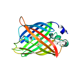 BU of 5wj3 by Molmil