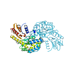 BU of 5wmi by Molmil