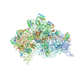 BU of 5wnt by Molmil