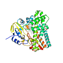 BU of 5wp2 by Molmil