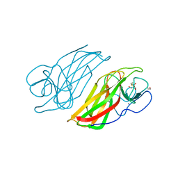 BU of 5wps by Molmil