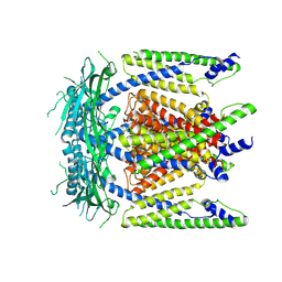 BU of 5wpv by Molmil