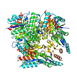 BU of 5wrf by Molmil