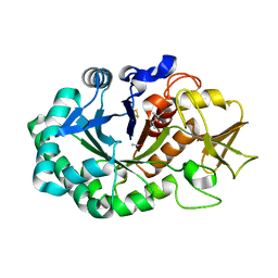 AU of 5wsm by Molmil