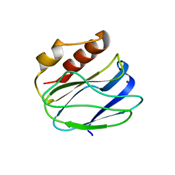 AU of 5wv4 by Molmil