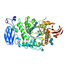 AU of 5wvt by Molmil