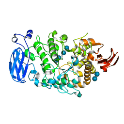 AU of 5wwa by Molmil