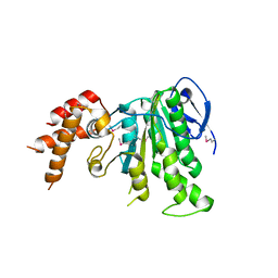 AU of 5wx0 by Molmil